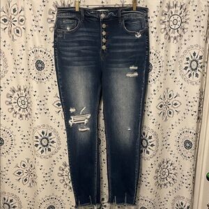 NWT Vervet Distressed Skinny Jeans with Button Fly - Size 14
